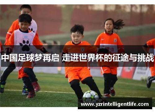 中国足球梦再启 走进世界杯的征途与挑战